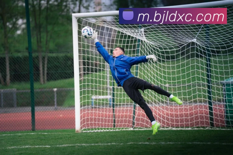 百家乐网站服务体系